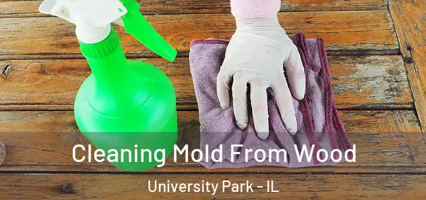 Cleaning Mold From Wood University Park - IL