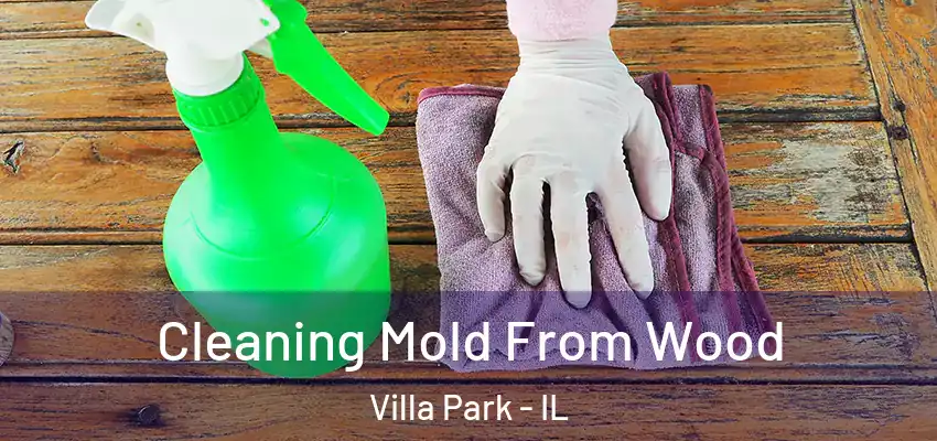  Cleaning Mold From Wood Villa Park - IL