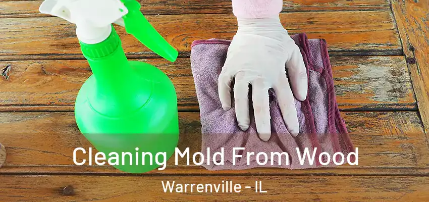  Cleaning Mold From Wood Warrenville - IL