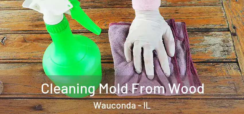  Cleaning Mold From Wood Wauconda - IL
