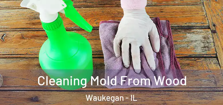 Cleaning Mold From Wood Waukegan - IL