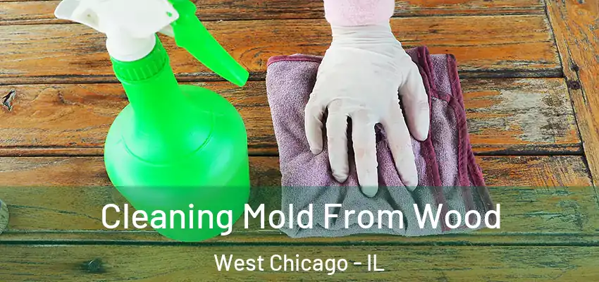  Cleaning Mold From Wood West Chicago - IL