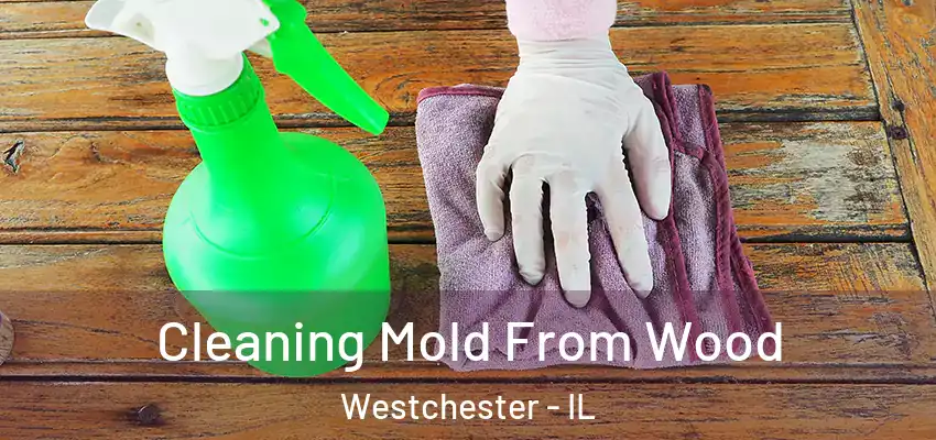 Cleaning Mold From Wood Westchester - IL