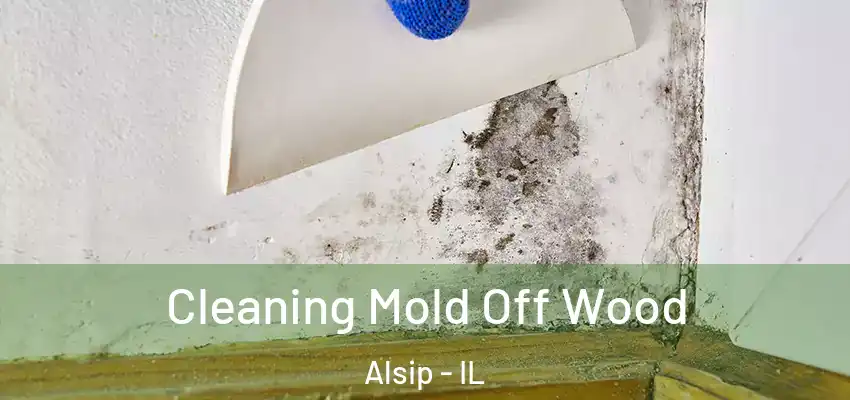  Cleaning Mold Off Wood Alsip - IL