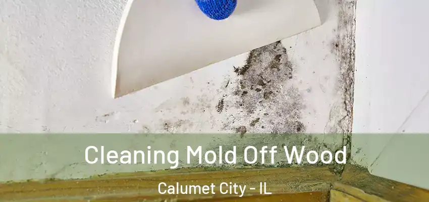  Cleaning Mold Off Wood Calumet City - IL