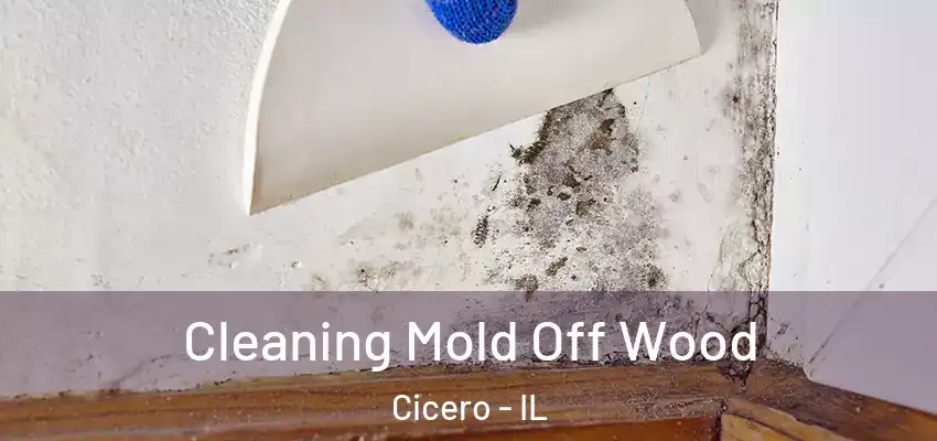 Cleaning Mold Off Wood Cicero - IL
