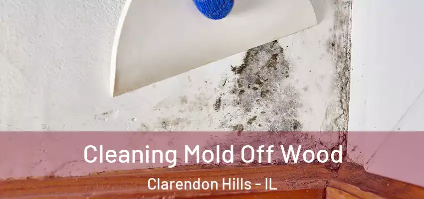  Cleaning Mold Off Wood Clarendon Hills - IL