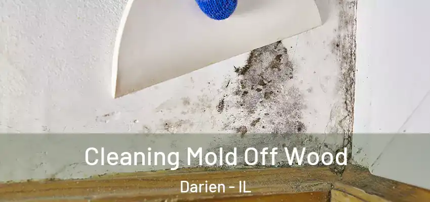 Cleaning Mold Off Wood Darien - IL