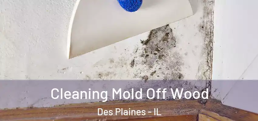 Cleaning Mold Off Wood Des Plaines - IL