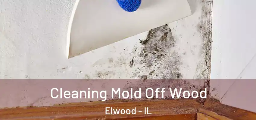 Cleaning Mold Off Wood Elwood - IL