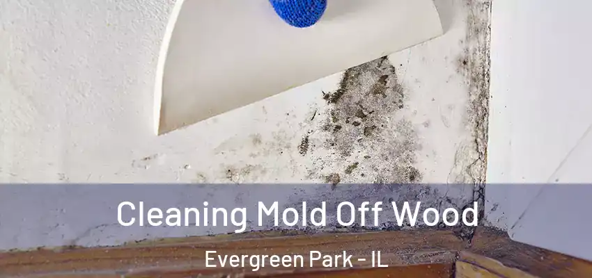 Cleaning Mold Off Wood Evergreen Park - IL