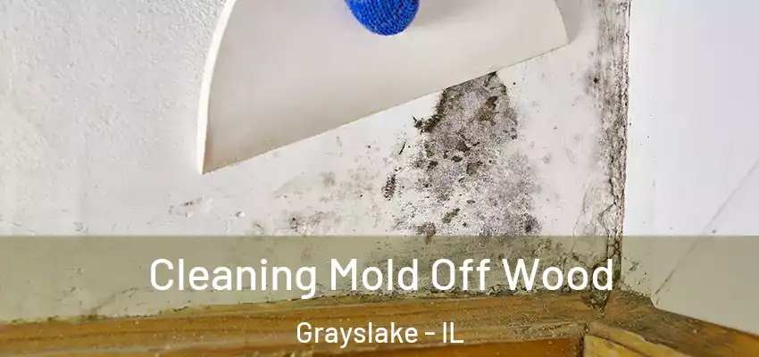  Cleaning Mold Off Wood Grayslake - IL