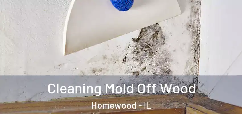 Cleaning Mold Off Wood Homewood - IL