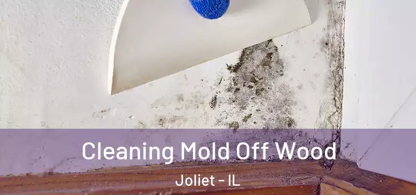  Cleaning Mold Off Wood Joliet - IL