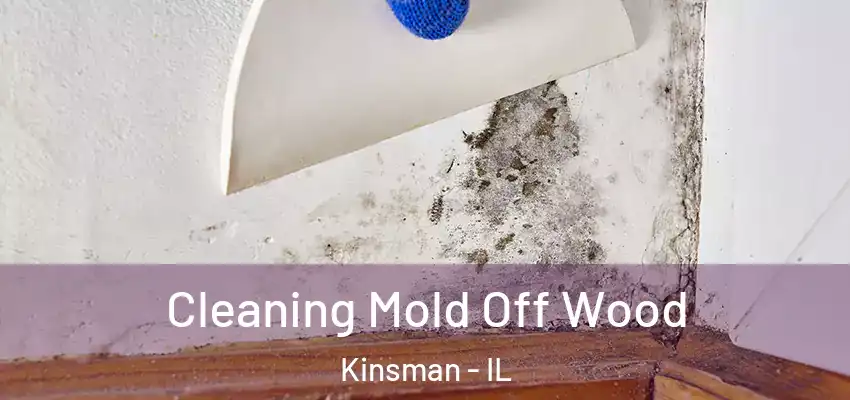  Cleaning Mold Off Wood Kinsman - IL