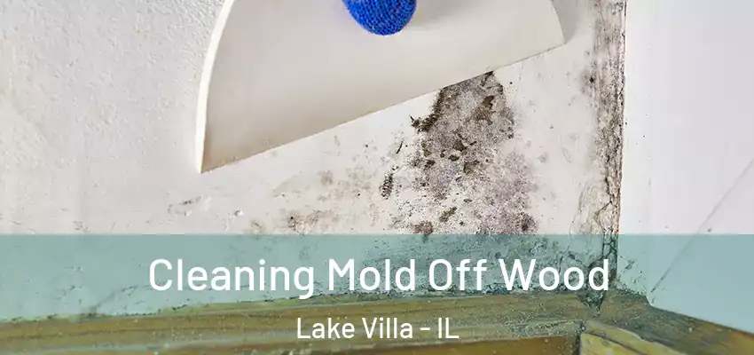 Cleaning Mold Off Wood Lake Villa - IL