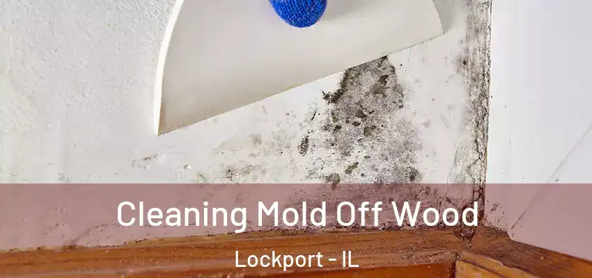 Cleaning Mold Off Wood Lockport - IL