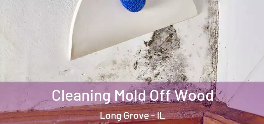  Cleaning Mold Off Wood Long Grove - IL