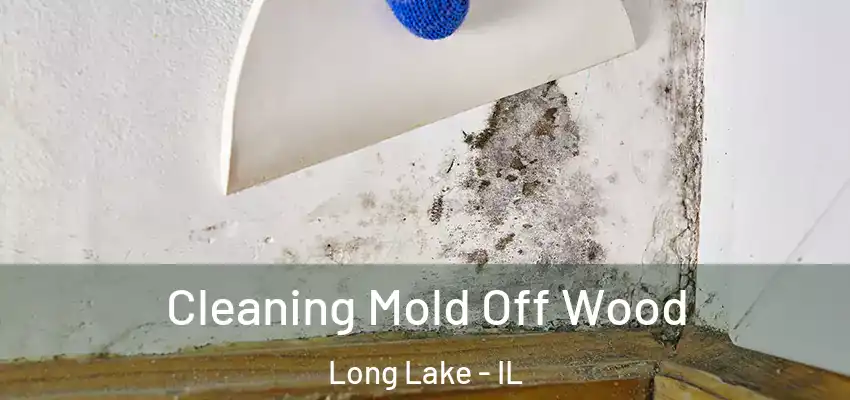  Cleaning Mold Off Wood Long Lake - IL