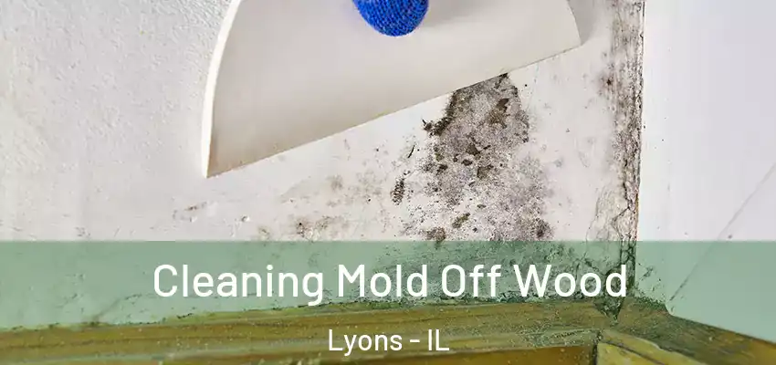 Cleaning Mold Off Wood Lyons - IL