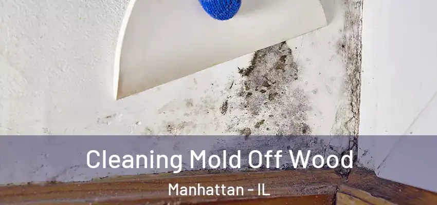 Cleaning Mold Off Wood Manhattan - IL