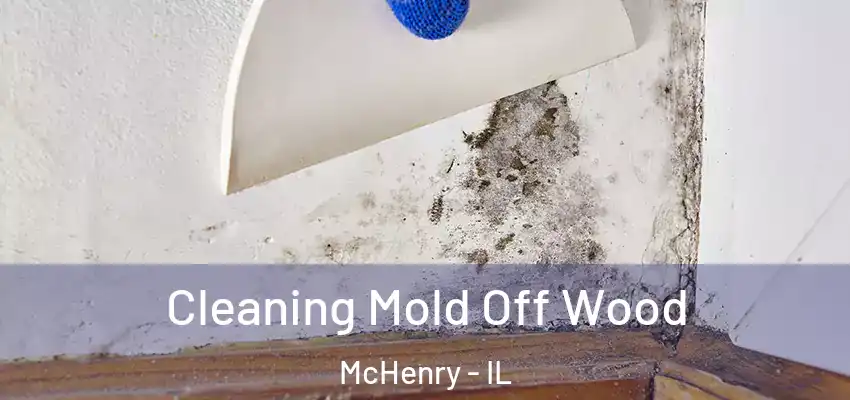  Cleaning Mold Off Wood McHenry - IL