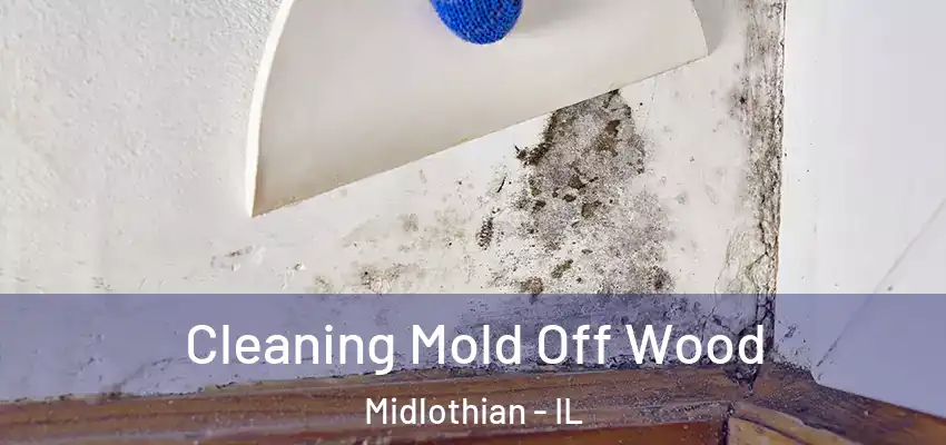 Cleaning Mold Off Wood Midlothian - IL