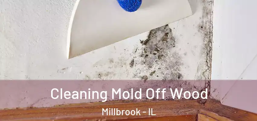 Cleaning Mold Off Wood Millbrook - IL