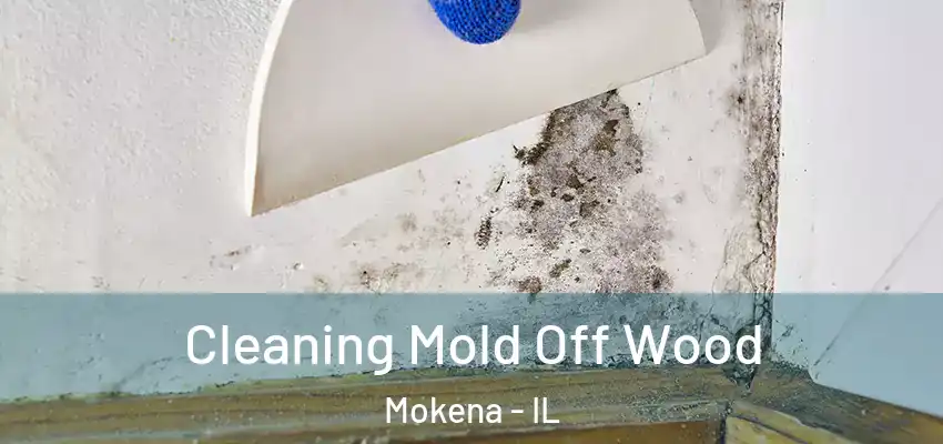 Cleaning Mold Off Wood Mokena - IL