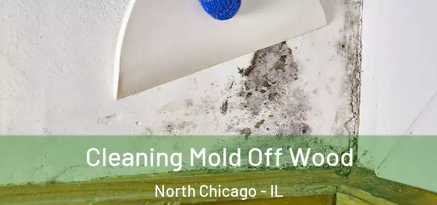  Cleaning Mold Off Wood North Chicago - IL