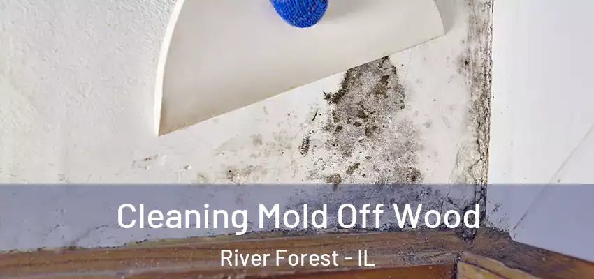 Cleaning Mold Off Wood River Forest - IL