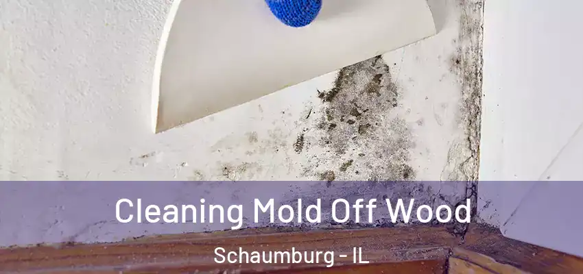  Cleaning Mold Off Wood Schaumburg - IL