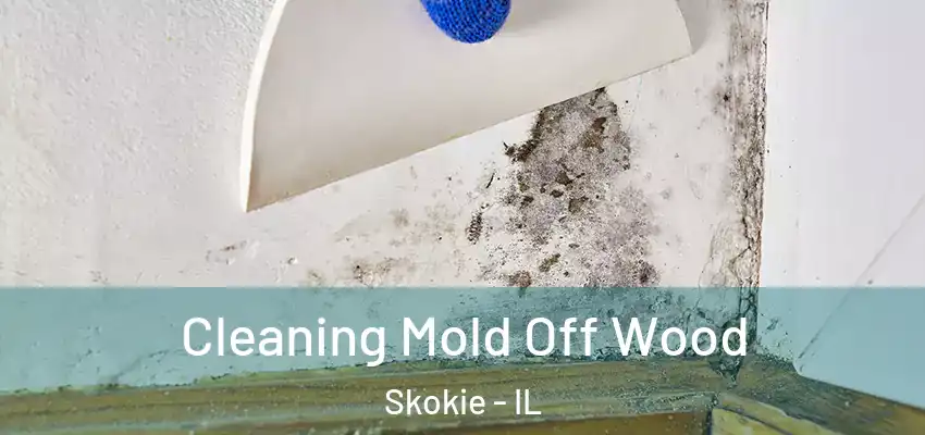 Cleaning Mold Off Wood Skokie - IL