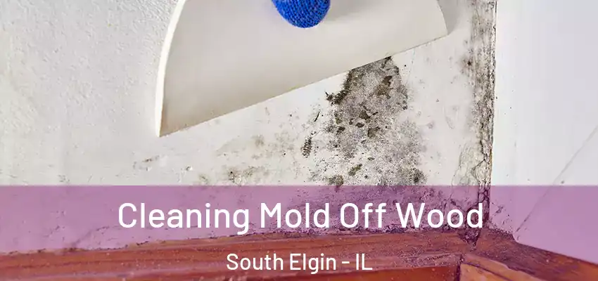 Cleaning Mold Off Wood South Elgin - IL
