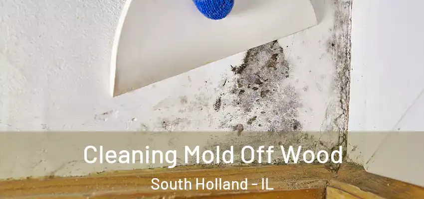Cleaning Mold Off Wood South Holland - IL