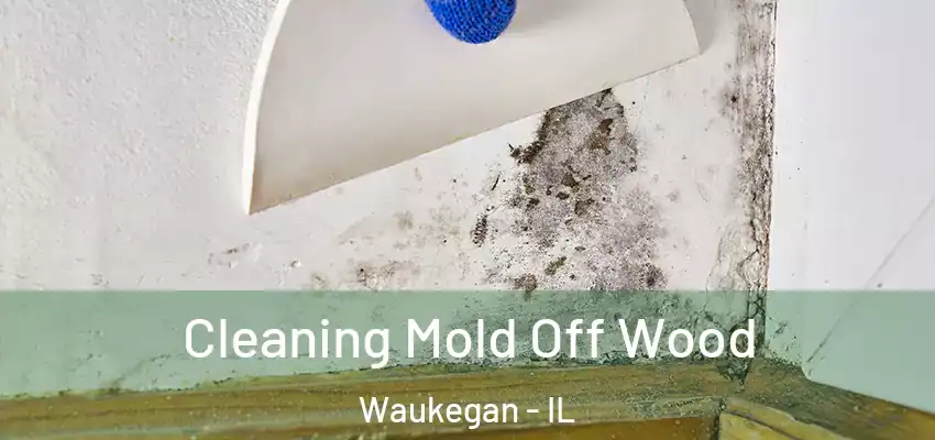 Cleaning Mold Off Wood Waukegan - IL