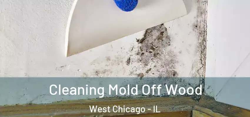  Cleaning Mold Off Wood West Chicago - IL