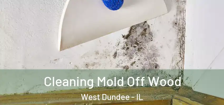  Cleaning Mold Off Wood West Dundee - IL
