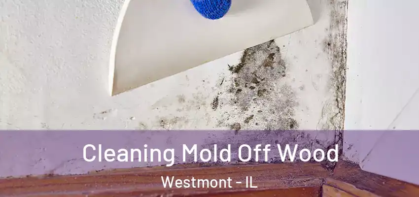 Cleaning Mold Off Wood Westmont - IL