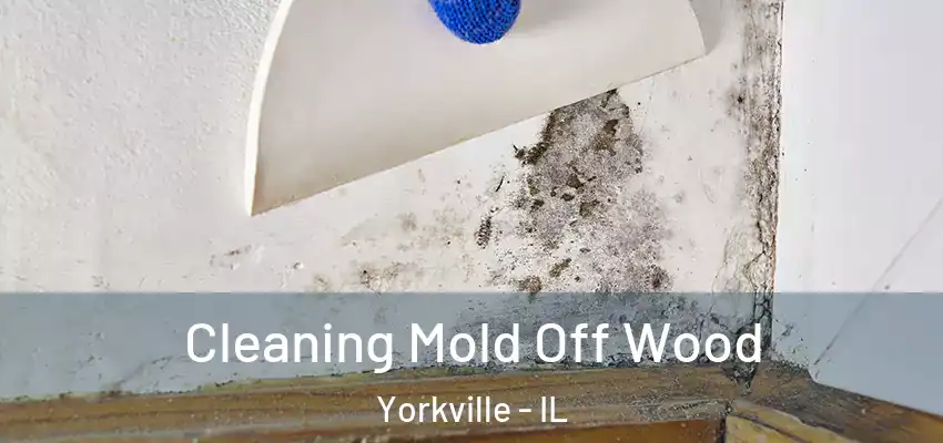 Cleaning Mold Off Wood Yorkville - IL
