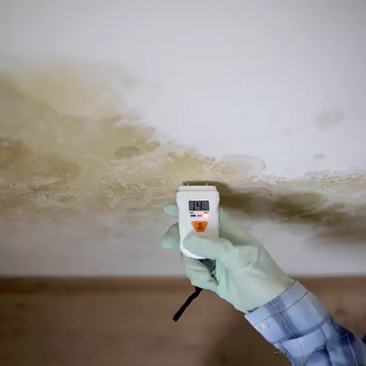 Reliable Mold Inspection Experts in Wauconda, IL