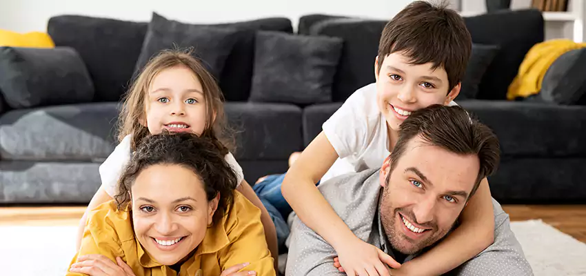 Mold Stain Remover for Wood in Wauconda, IL