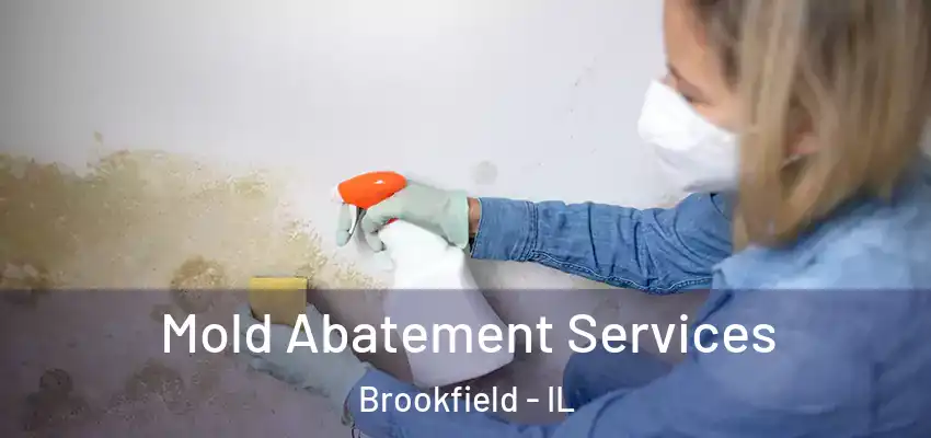 Mold Abatement Services Brookfield - IL