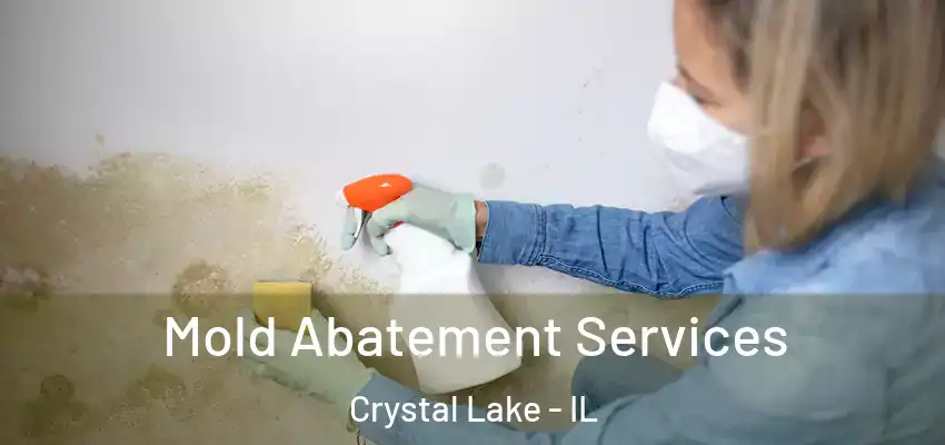  Mold Abatement Services Crystal Lake - IL