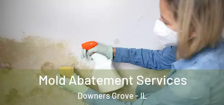Mold Abatement Services Downers Grove - IL