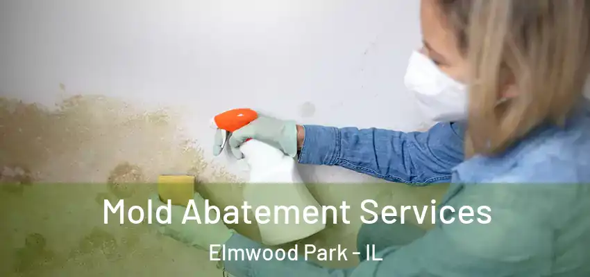 Mold Abatement Services Elmwood Park - IL