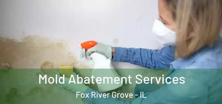  Mold Abatement Services Fox River Grove - IL