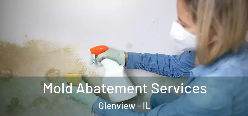 Mold Abatement Services Glenview - IL