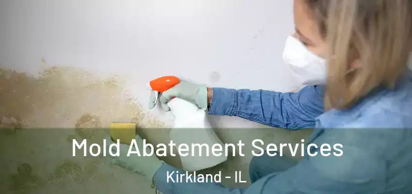 Mold Abatement Services Kirkland - IL