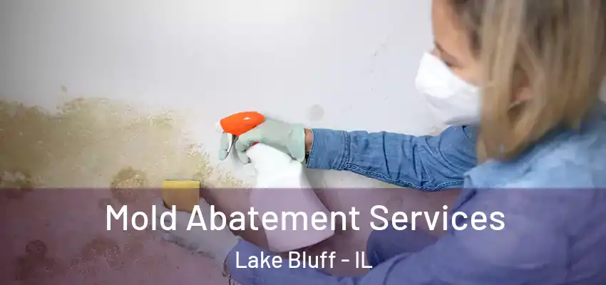 Mold Abatement Services Lake Bluff - IL